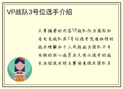 VP战队3号位选手介绍