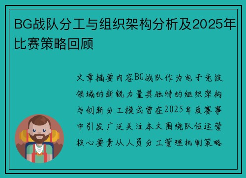 BG战队分工与组织架构分析及2025年比赛策略回顾